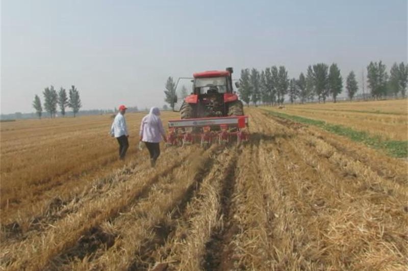 玉米籽粒收试验0.jpg 玉米籽粒收试验0.jpg